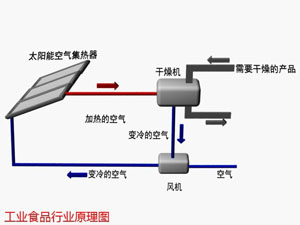 食品生产行业太阳能解决方案