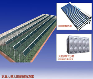 太阳能种植解决方案