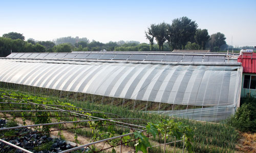 太阳能种植解决方案