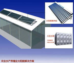 太阳能水产品养殖